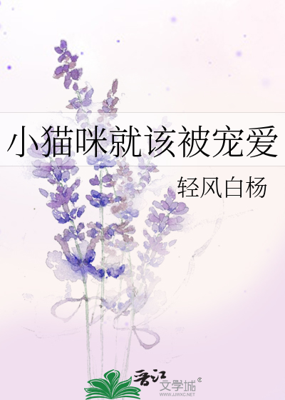 小猫咪就该被宠爱轻风白杨