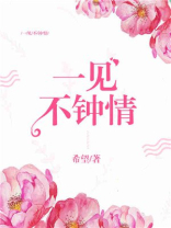 一见不钟情小说