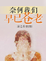 奈何我们早已苍老什么意思