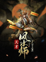 天才风水师全文免费阅读