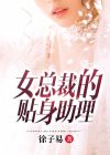 女总裁的贴身助理视频