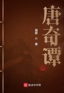 唐奇谭小说