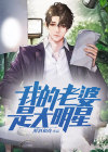 我的老婆是大明星下载奇书网