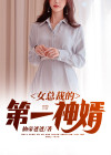 女总裁的第一赘婿