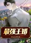 都市最强狂赘婿
