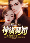 都市言情小说神级赘婿