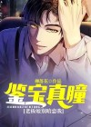 鉴宝古董小说