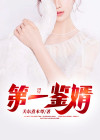 第一鉴婿 小说秦汉
