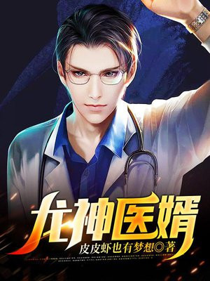 龙神医婿 小说