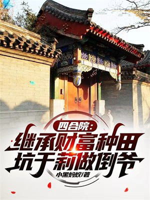 四合院电视剧于丽