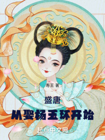 盛唐从娶杨玉环开始的小说