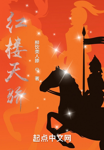 红楼天骄147小说