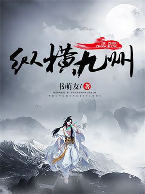 纵横九州小说