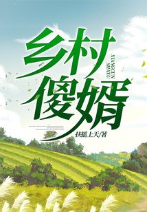 乡村傻婿