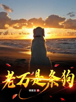 老万是啥