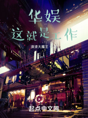 华娱:这就是工作小说