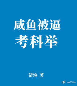 公认最好看的科举文