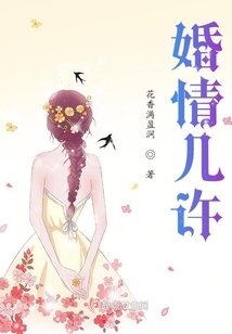 婚情几许免费阅读全文