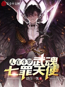 人在斗罗武魂七罪天使小说