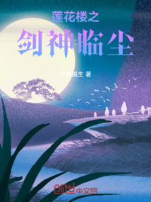 莲花楼之剑神临尘