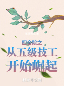 四合院从九级工程师开始超神小说