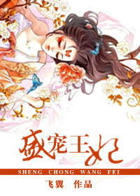 盛宠王妃小说