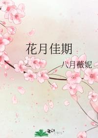 花月佳期电视剧
