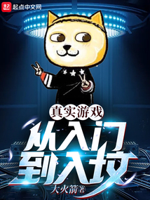 真实游戏从入门到入坟无防盗