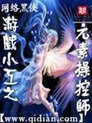 游戏小工之元素操控师笔趣阁