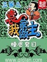 三国之袁家我做主TXT下载