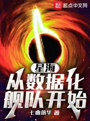 星海,从数据化舰队开始起点