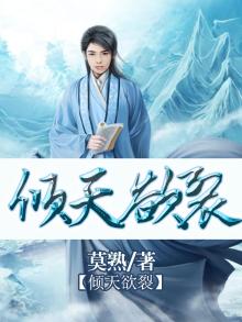 倾天天的作品