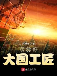 我就是大国工匠TXT