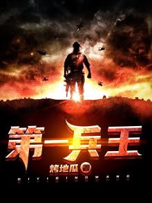 第一兵王叶枫全文免费阅读