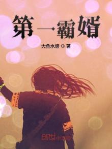 第一霸婿视频全集