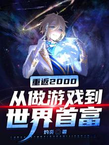 重返2000:从做游戏到世界首富 灼炎