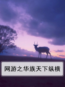 网游之纵横天下天域