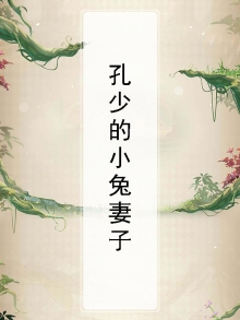 孔少的小兔妻子