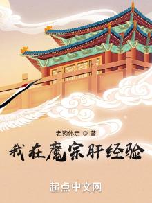 在魔宗做卧底的小说