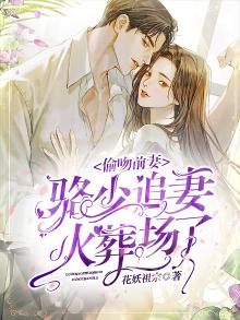 偷吻小说全文免费