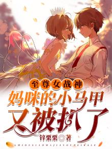 至尊女战神:妈咪的小马甲又被扒了免费阅读