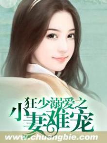 铮少溺爱狂妻