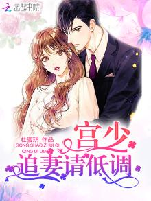 宫少宠妻甜度爆表小说