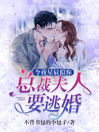 今夜星辰似你免费阅读诺筱颖
