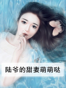 小说:陆爷的呆萌甜妻
