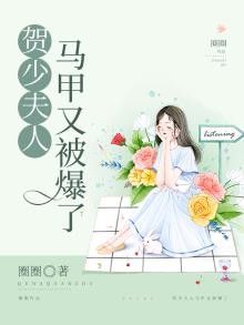 贺少宠妻超级甜全本