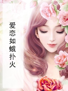 爱似飞蛾扑火小说