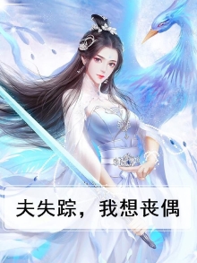 消失的夫妻案