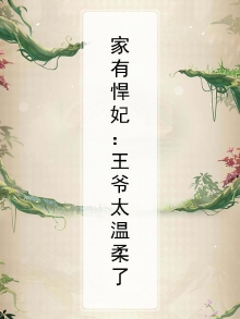 家有悍妃摄政王独宠 小说