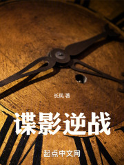 谍影逆战小说在线阅读